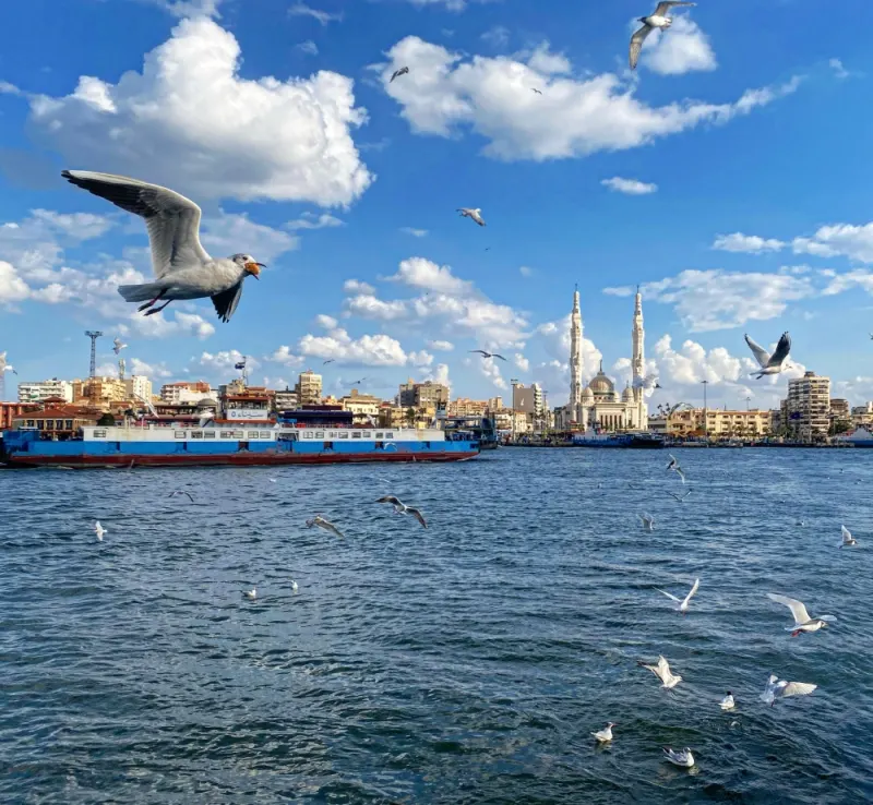 Ship supply and marine services at Port Said