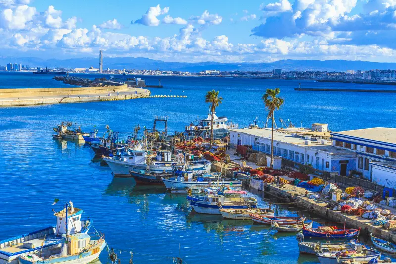 Algiers Port